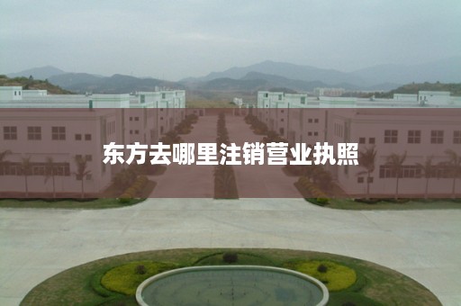 东方去哪里注销营业执照