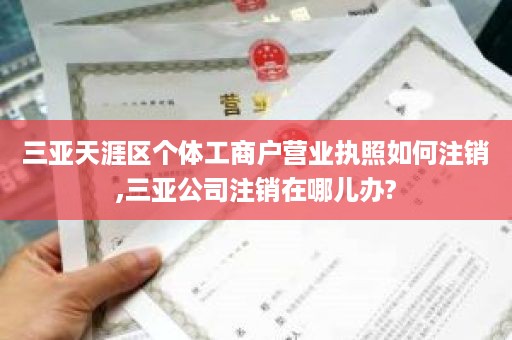 三亚天涯区个体工商户营业执照如何注销,三亚公司注销在哪儿办?