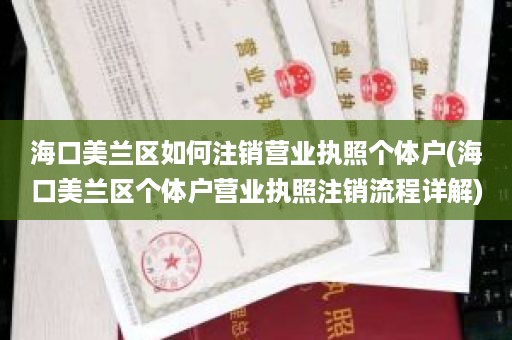 海口美兰区如何注销营业执照个体户(海口美兰区个体户营业执照注销流程详解)