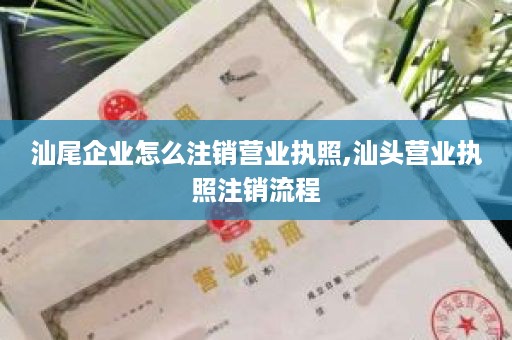 汕尾企业怎么注销营业执照,汕头营业执照注销流程