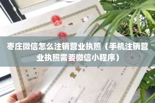 枣庄微信怎么注销营业执照（手机注销营业执照需要微信小程序）