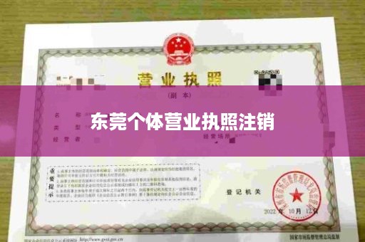 东莞个体营业执照注销