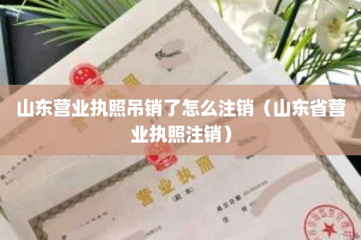 山东营业执照吊销了怎么注销（山东省营业执照注销）