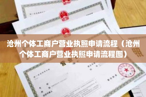 沧州个体工商户营业执照申请流程（沧州个体工商户营业执照申请流程图）