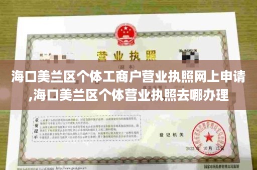 海口美兰区个体工商户营业执照网上申请,海口美兰区个体营业执照去哪办理