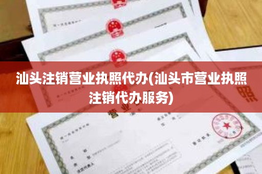 汕头注销营业执照代办(汕头市营业执照注销代办服务)