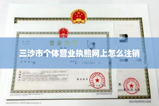 三沙市个体营业执照网上怎么注销