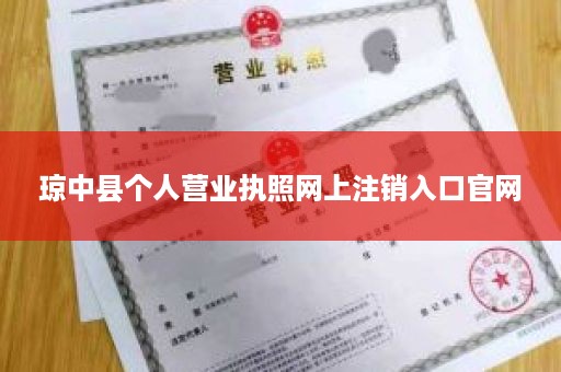 琼中县个人营业执照网上注销入口官网