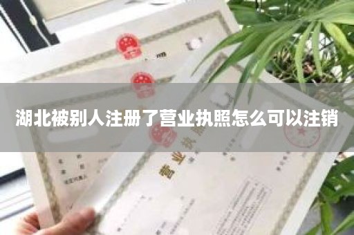 湖北被别人注册了营业执照怎么可以注销