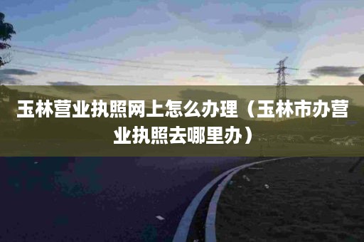 玉林营业执照网上怎么办理（玉林市办营业执照去哪里办）