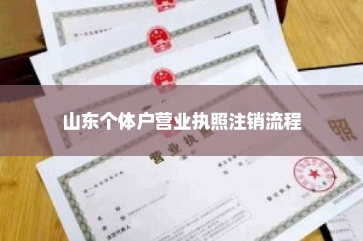 山东个体户营业执照注销流程