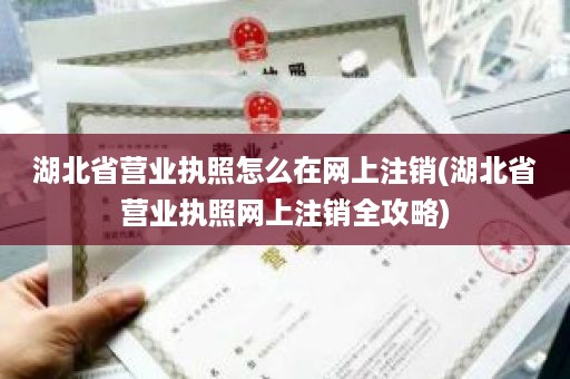湖北省营业执照怎么在网上注销(湖北省营业执照网上注销全攻略)