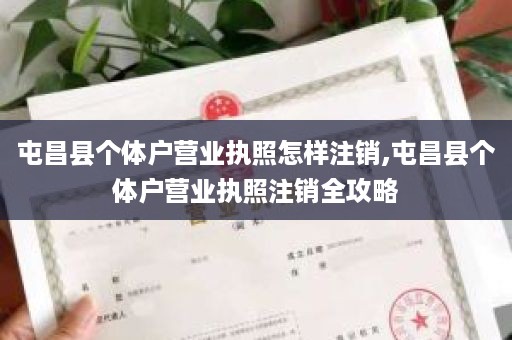 屯昌县个体户营业执照怎样注销,屯昌县个体户营业执照注销全攻略