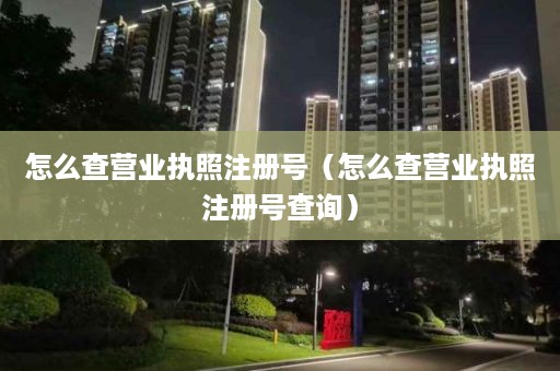 怎么查营业执照注册号（怎么查营业执照注册号查询）