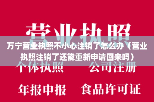 万宁营业执照不小心注销了怎么办（营业执照注销了还能重新申请回来吗）