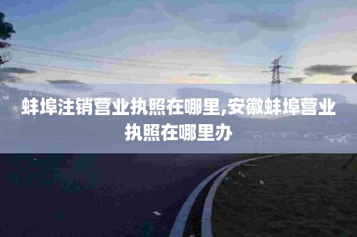 蚌埠注销营业执照在哪里,安徽蚌埠营业执照在哪里办