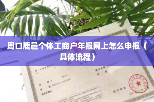 周口鹿邑个体工商户年报网上怎么申报（具体流程）