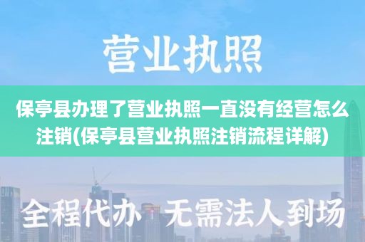 保亭县办理了营业执照一直没有经营怎么注销(保亭县营业执照注销流程详解)
