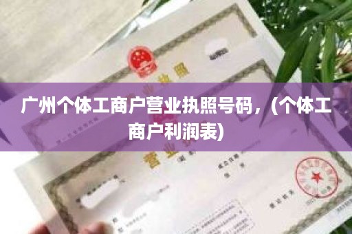 广州个体工商户营业执照号码，(个体工商户利润表)