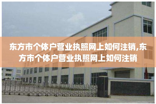 东方市个体户营业执照网上如何注销,东方市个体户营业执照网上如何注销