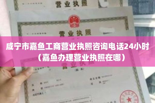 咸宁市嘉鱼工商营业执照咨询电话24小时（嘉鱼办理营业执照在哪）