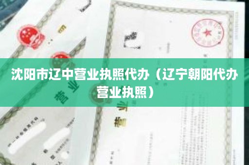沈阳市辽中营业执照代办（辽宁朝阳代办营业执照）