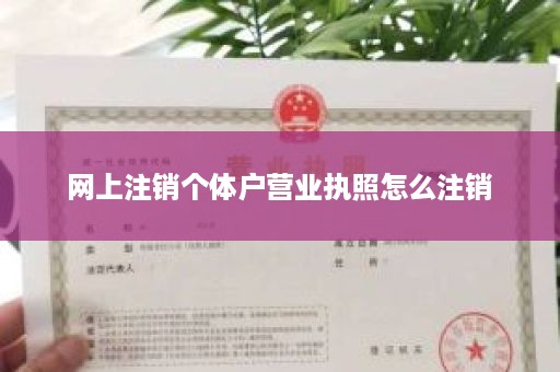 网上注销个体户营业执照怎么注销