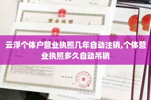云浮个体户营业执照几年自动注销,个体营业执照多久自动吊销
