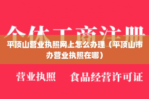 平顶山营业执照网上怎么办理（平顶山市办营业执照在哪）