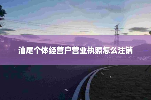 汕尾个体经营户营业执照怎么注销