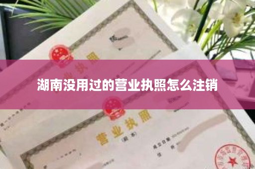 湖南没用过的营业执照怎么注销
