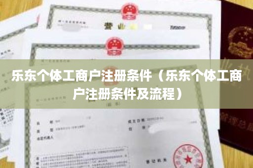 乐东个体工商户注册条件（乐东个体工商户注册条件及流程）