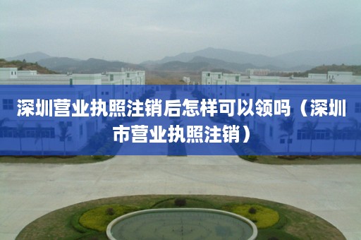 深圳营业执照注销后怎样可以领吗（深圳市营业执照注销）