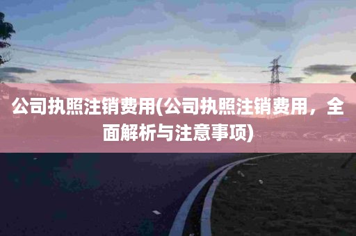 公司执照注销费用(公司执照注销费用，全面解析与注意事项)