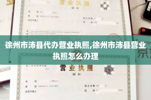 徐州市沛县代办营业执照,徐州市沛县营业执照怎么办理