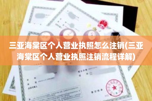 三亚海棠区个人营业执照怎么注销(三亚海棠区个人营业执照注销流程详解)