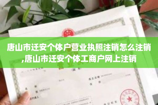 唐山市迁安个体户营业执照注销怎么注销,唐山市迁安个体工商户网上注销