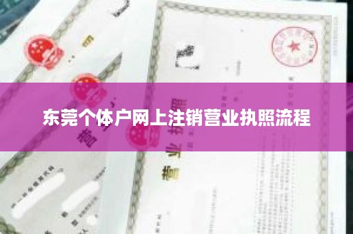 东莞个体户网上注销营业执照流程