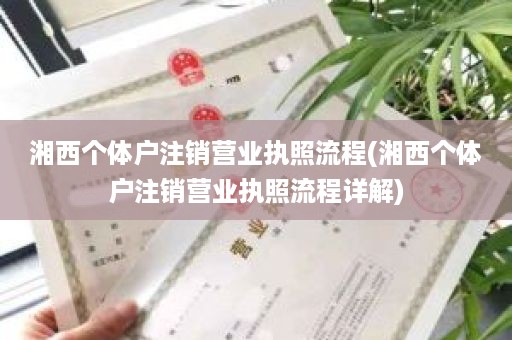 湘西个体户注销营业执照流程(湘西个体户注销营业执照流程详解)