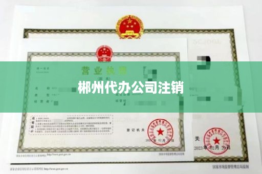 郴州代办公司注销