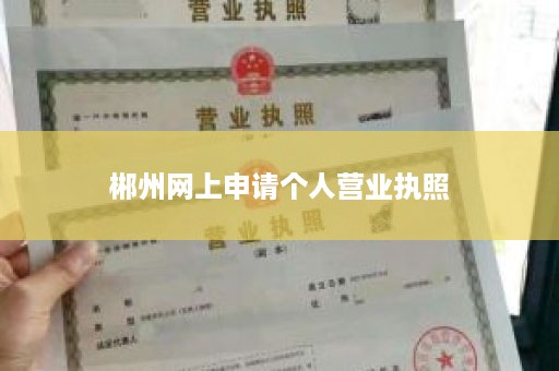 郴州网上申请个人营业执照