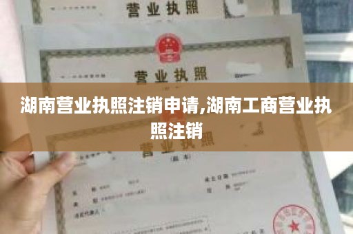 湖南营业执照注销申请,湖南工商营业执照注销