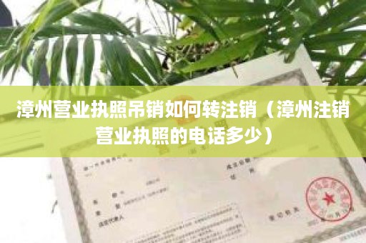 漳州营业执照吊销如何转注销（漳州注销营业执照的电话多少）