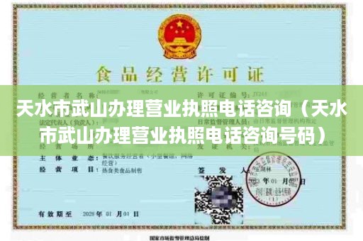 天水市武山办理营业执照电话咨询（天水市武山办理营业执照电话咨询号码）