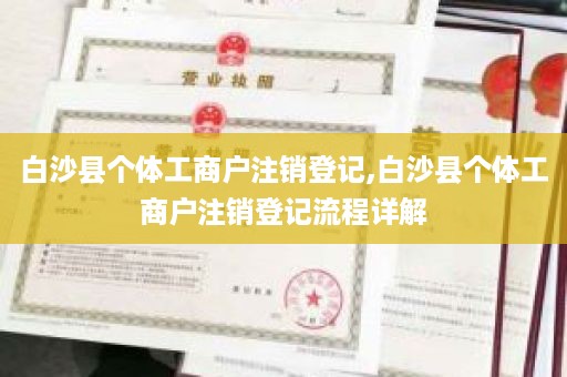 白沙县个体工商户注销登记,白沙县个体工商户注销登记流程详解