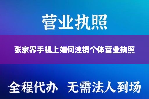 张家界手机上如何注销个体营业执照