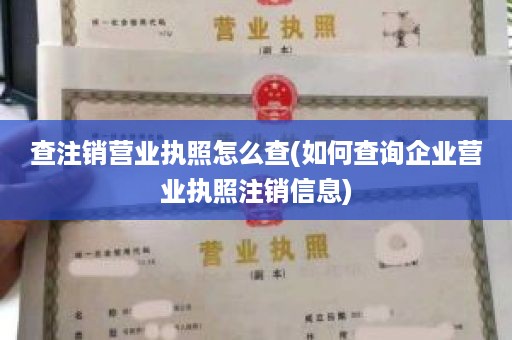 查注销营业执照怎么查(如何查询企业营业执照注销信息)
