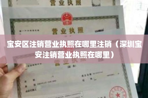 宝安区注销营业执照在哪里注销（深圳宝安注销营业执照在哪里）