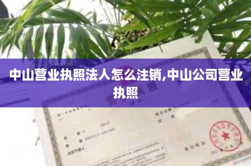 中山营业执照法人怎么注销,中山公司营业执照