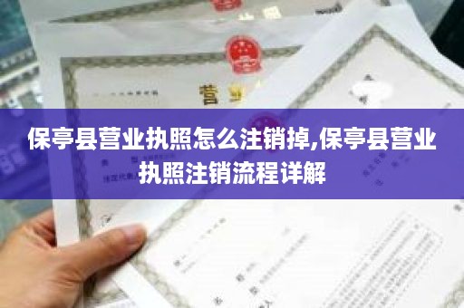 保亭县营业执照怎么注销掉,保亭县营业执照注销流程详解